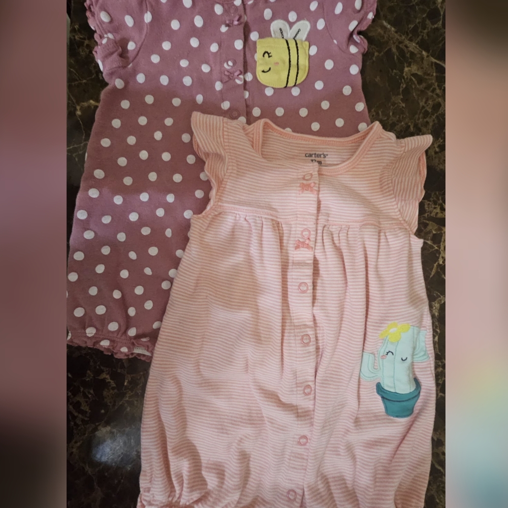 Carter's Plum and Light Pink Baby Rompers with Bee 🐝 and Cactus🌵~12M